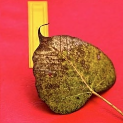 Rigpa Prayer Gathering 2019