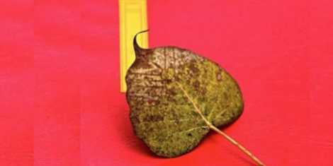 Rigpa Prayer Gathering 2019