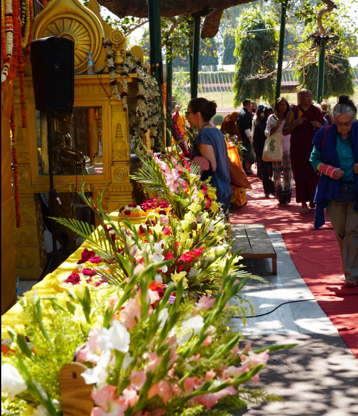 Rigpa Gebetsfest, März 2019, Bodhgaya Indien