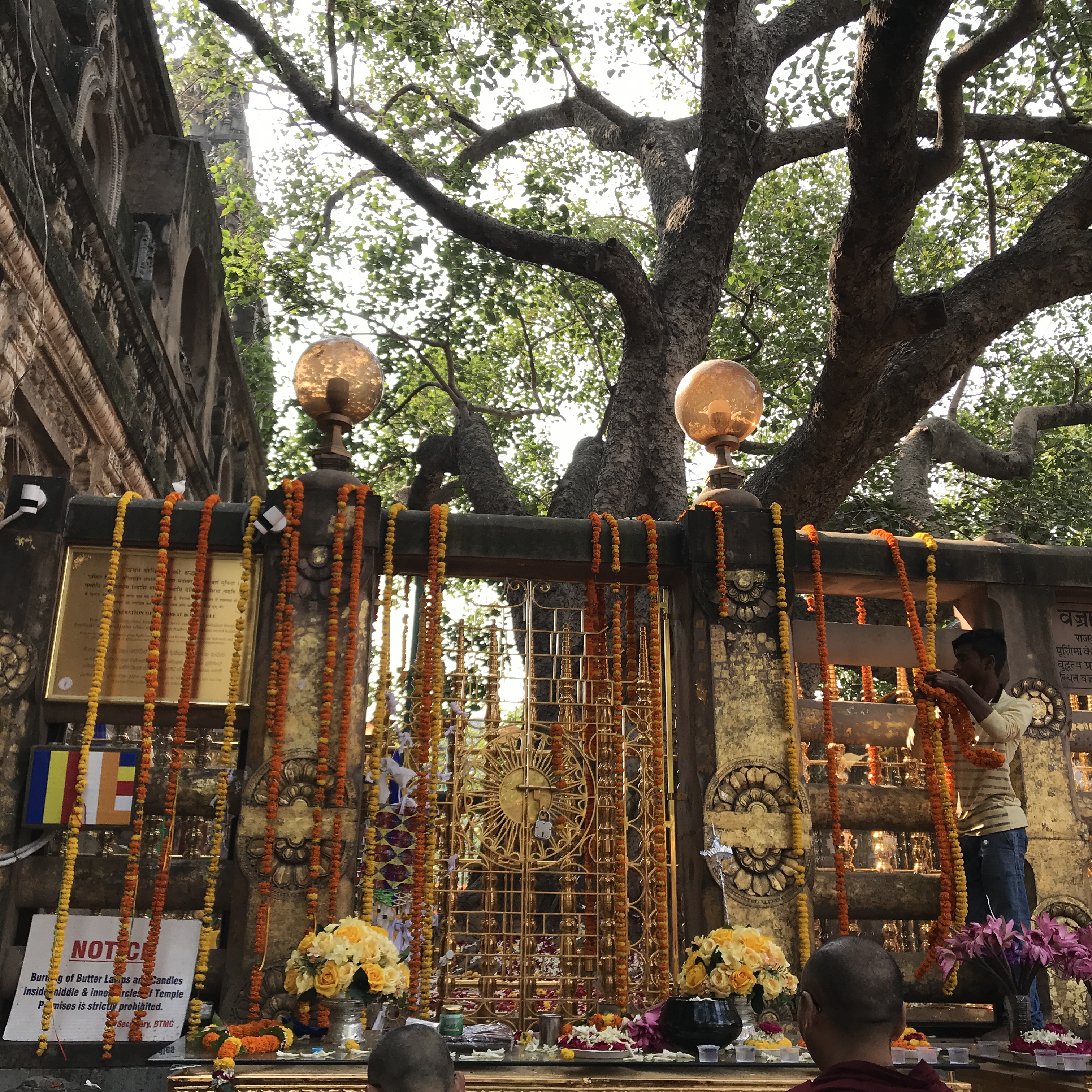 Der Vajra-Sitz, wo der Buddha unter dem Bodhibaum Erleuchtung erlangte, Bodhgaya (Indien)