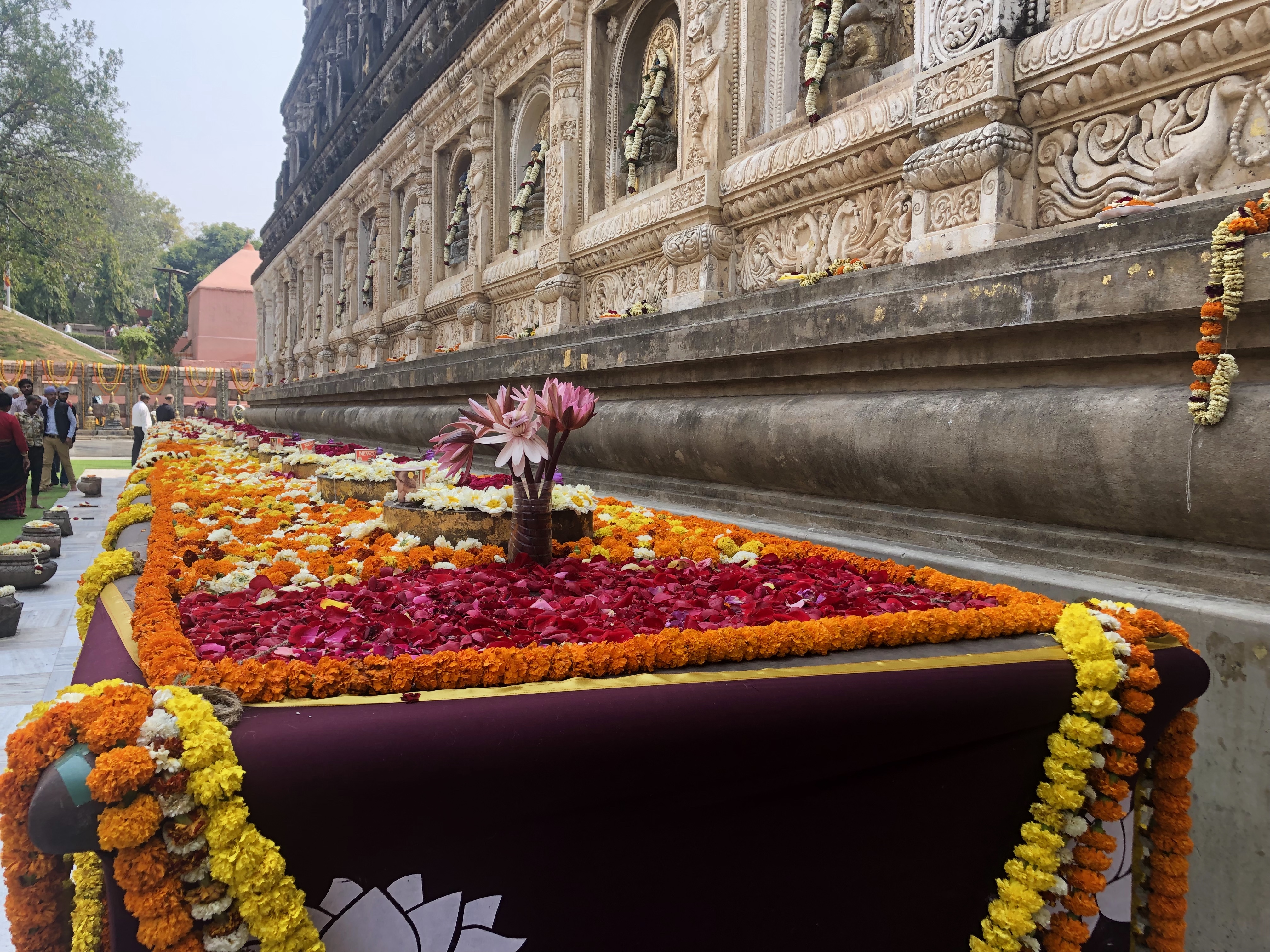 Blumendarbringungen. Rigpa Gebetsfest, März 2019, Bodhgaya (Indien)