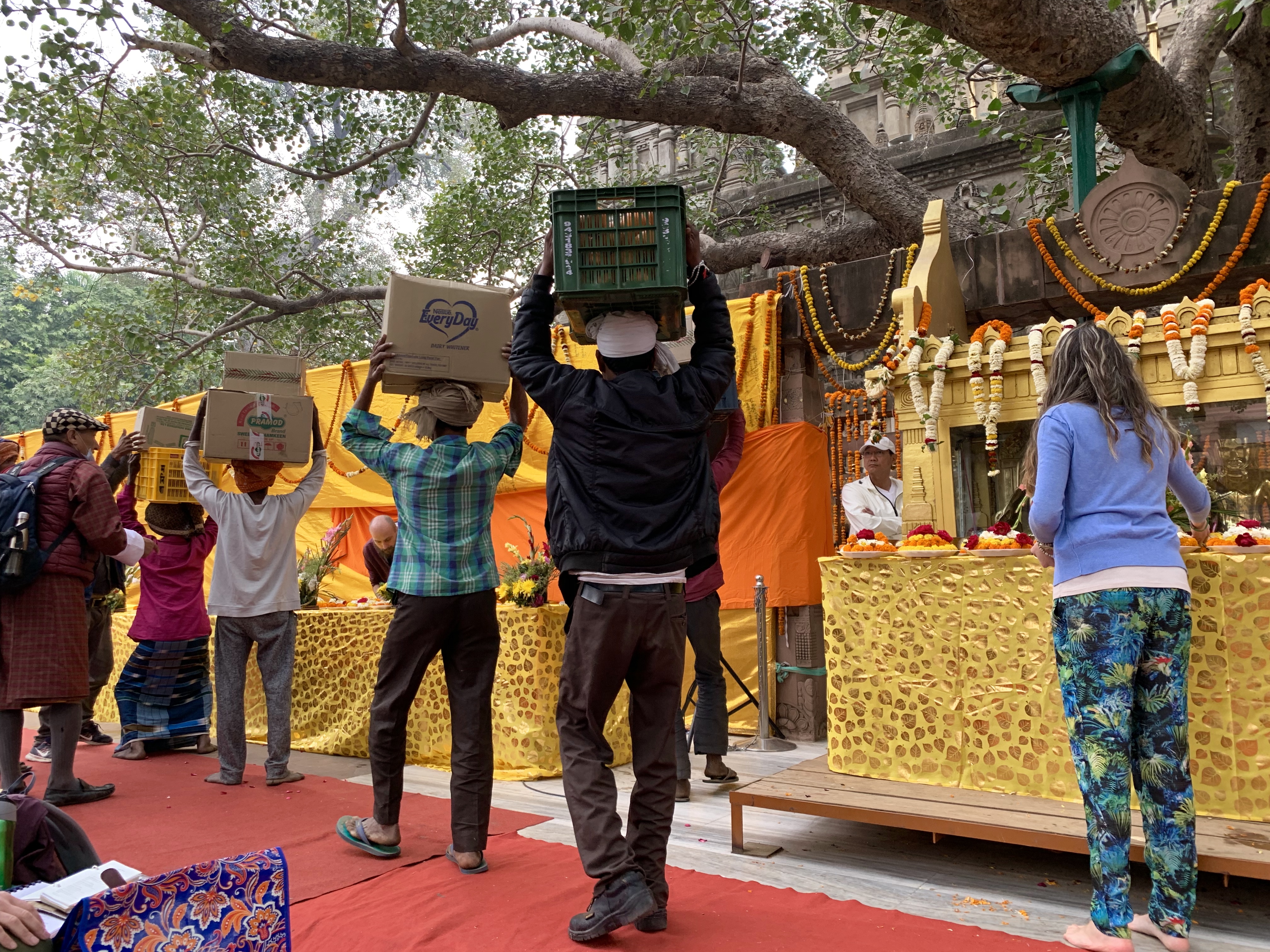 Tsokdarbringungen. Rigpa Gebetsfest, März 2019, Bodhgaya (Indien)