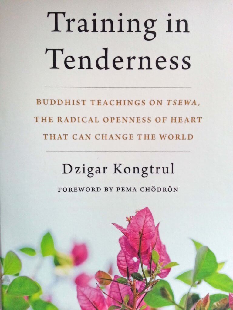 Cover_TrainingInTenderness Dzigar Kongtrul Rinpoche Training in Tenderness