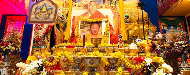 Paying respect to Sogyal Rinpoche last Lerab Ling, France
