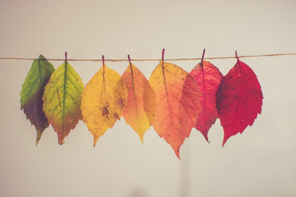 chris-lawton-5IHz5WhosQE-unsplash (1)